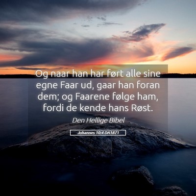 Picture 05 - Johannes 10:4 DA1871 - Og naar han har ført alle sine egne Faar ud, - Bible Verse Picture