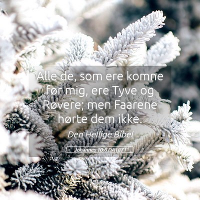 Picture 05 - Johannes 10:8 DA1871 - Alle de, som ere komne før mig, ere Tyve og - Bible Verse Picture