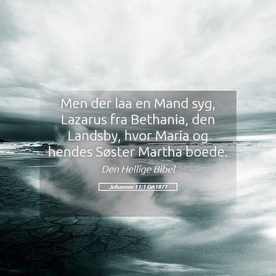 Picture 05 - Johannes 11:1 DA1871 - Men der laa en Mand syg, Lazarus fra Bethania, - Bible Verse Picture