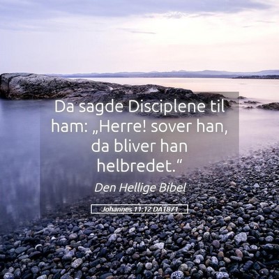 Picture 05 - Johannes 11:12 DA1871 - Da sagde Disciplene til ham: „Herre! sover han, - Bible Verse Picture