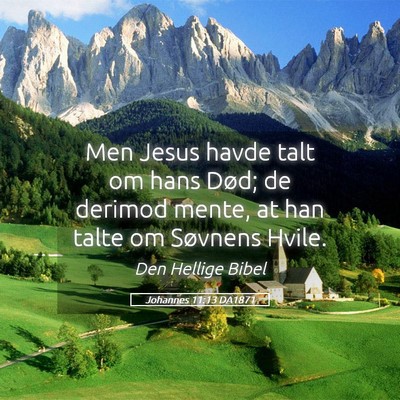 Picture 05 - Johannes 11:13 DA1871 - Men Jesus havde talt om hans Død; de derimod - Bible Verse Picture