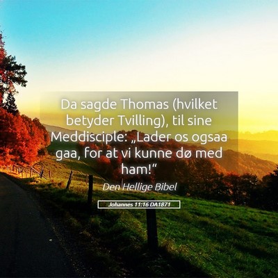 Picture 05 - Johannes 11:16 DA1871 - Da sagde Thomas (hvilket betyder Tvilling), til - Bible Verse Picture