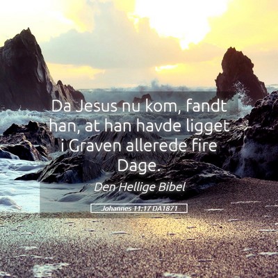 Picture 05 - Johannes 11:17 DA1871 - Da Jesus nu kom, fandt han, at han havde ligget i - Bible Verse Picture