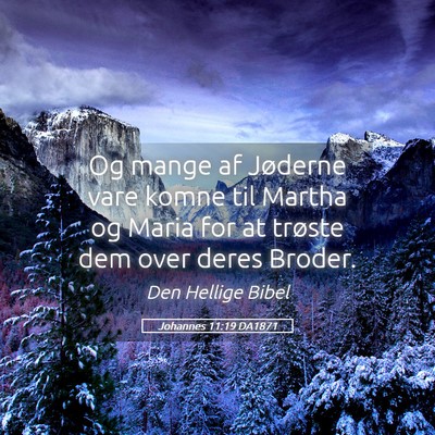 Picture 05 - Johannes 11:19 DA1871 - Og mange af Jøderne vare komne til Martha og - Bible Verse Picture