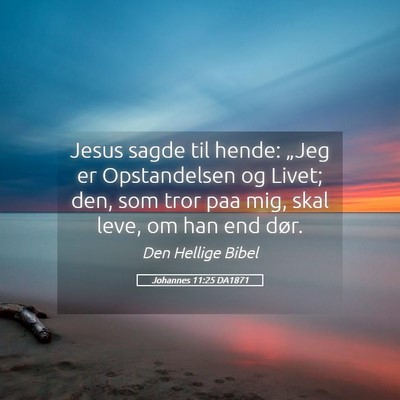 Picture 05 - Johannes 11:25 DA1871 - Jesus sagde til hende: „Jeg er Opstandelsen og - Bible Verse Picture