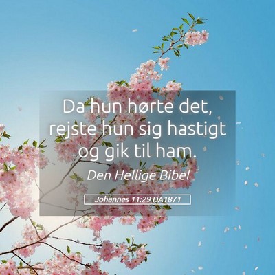 Picture 05 - Johannes 11:29 DA1871 - Da hun hørte det, rejste hun sig hastigt og gik - Bible Verse Picture