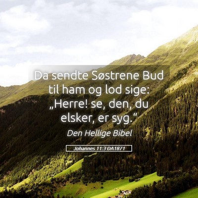 Picture 05 - Johannes 11:3 DA1871 - Da sendte Søstrene Bud til ham og lod sige: - Bible Verse Picture