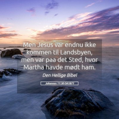 Picture 05 - Johannes 11:30 DA1871 - Men Jesus var endnu ikke kommen til Landsbyen, - Bible Verse Picture