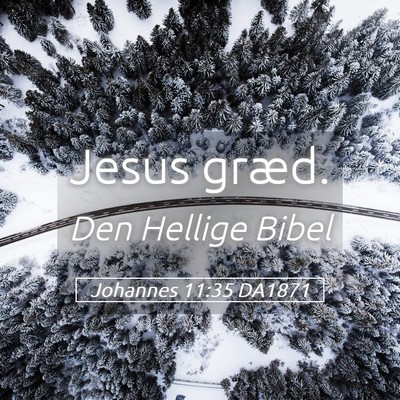 Picture 05 - Johannes 11:35 DA1871 - Jesus - Bible Verse Picture
