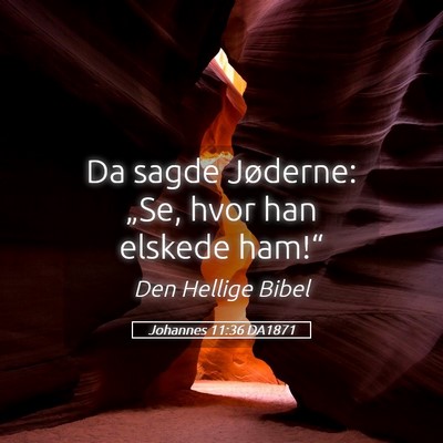 Picture 05 - Johannes 11:36 DA1871 - Da sagde Jøderne: „Se, hvor han elskede - Bible Verse Picture