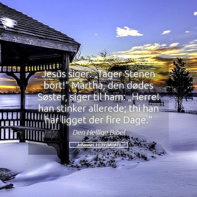 Picture 05 - Johannes 11:39 DA1871 - Jesus siger: „Tager Stenen bort!“ Martha, den - Bible Verse Picture