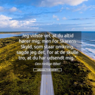 Picture 05 - Johannes 11:42 DA1871 - Jeg vidste vel, at du altid hører mig; men for - Bible Verse Picture