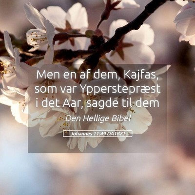 Picture 05 - Johannes 11:49 DA1871 - Men en af dem, Kajfas, som var Ypperstepræst i - Bible Verse Picture