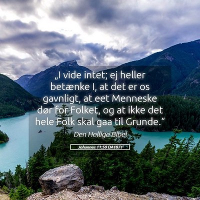 Picture 05 - Johannes 11:50 DA1871 - „I vide intet; ej heller betænke I, at det er - Bible Verse Picture