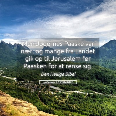 Picture 05 - Johannes 11:55 DA1871 - Men Jødernes Paaske var nær; og mange fra - Bible Verse Picture