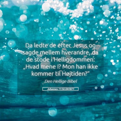 Picture 05 - Johannes 11:56 DA1871 - Da ledte de efter Jesus og sagde mellem - Bible Verse Picture
