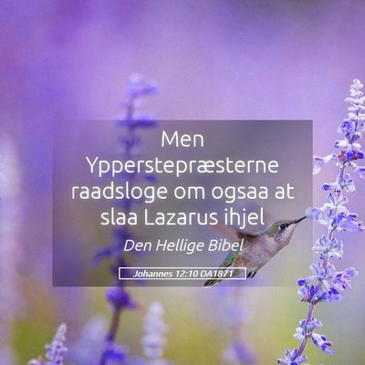 Picture 05 - Johannes 12:10 DA1871 - Men Ypperstepræsterne raadsloge om ogsaa at slaa - Bible Verse Picture