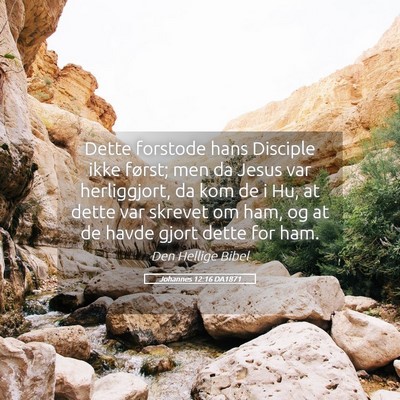 Picture 05 - Johannes 12:16 DA1871 - Dette forstode hans Disciple ikke først; men da - Bible Verse Picture