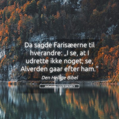 Picture 05 - Johannes 12:19 DA1871 - Da sagde Farisæerne til hverandre: „I se, at I - Bible Verse Picture