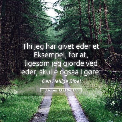 Picture 05 - Johannes 13:15 DA1871 - Thi jeg har givet eder et Eksempel, for at, - Bible Verse Picture