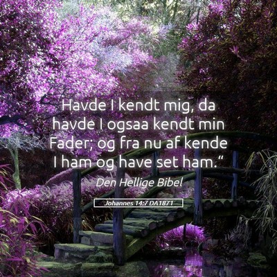 Picture 05 - Johannes 14:7 DA1871 - Havde I kendt mig, da havde I ogsaa kendt min - Bible Verse Picture