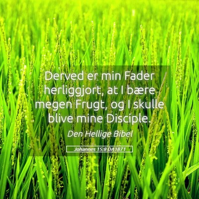 Picture 05 - Johannes 15:8 DA1871 - Derved er min Fader herliggjort, at I bære megen - Bible Verse Picture