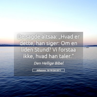 Picture 05 - Johannes 16:18 DA1871 - De sagde altsaa: „Hvad er dette, han siger: Om - Bible Verse Picture
