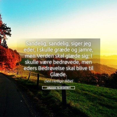 Picture 05 - Johannes 16:20 DA1871 - Sandelig, sandelig, siger jeg eder, I skulle - Bible Verse Picture