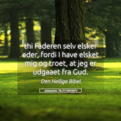 Picture 05 - Johannes 16:27 DA1871 - thi Faderen selv elsker eder, fordi I have elsket - Bible Verse Picture