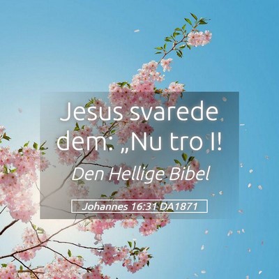Picture 05 - Johannes 16:31 DA1871 - Jesus svarede dem: „Nu tro - Bible Verse Picture