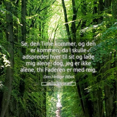 Picture 05 - Johannes 16:32 DA1871 - Se, den Time kommer, og den er kommen, da I - Bible Verse Picture