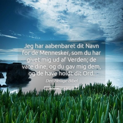 Picture 05 - Johannes 17:6 DA1871 - Jeg har aabenbaret dit Navn for de Mennesker, som - Bible Verse Picture