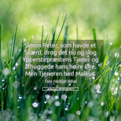 Picture 05 - Johannes 18:10 DA1871 - Simon Peter, som havde et Sværd, drog det nu og - Bible Verse Picture
