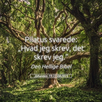 Picture 05 - Johannes 19:22 DA1871 - Pilatus svarede: „Hvad jeg skrev, det skrev - Bible Verse Picture