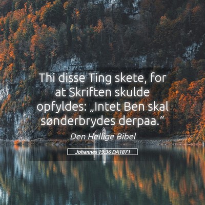 Picture 05 - Johannes 19:36 DA1871 - Thi disse Ting skete, for at Skriften skulde - Bible Verse Picture