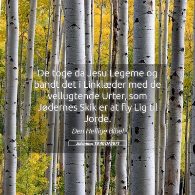 Picture 05 - Johannes 19:40 DA1871 - De toge da Jesu Legeme og bandt det i Linklæder - Bible Verse Picture