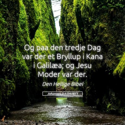 Picture 05 - Johannes 2:1 DA1871 - Og paa den tredje Dag var der et Bryllup i Kana i - Bible Verse Picture