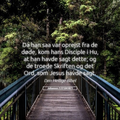 Picture 05 - Johannes 2:22 DA1871 - Da han saa var oprejst fra de døde, kom hans - Bible Verse Picture