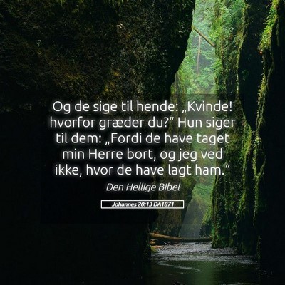 Picture 05 - Johannes 20:13 DA1871 - Og de sige til hende: „Kvinde! hvorfor græder - Bible Verse Picture