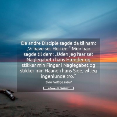 Picture 05 - Johannes 20:25 DA1871 - De andre Disciple sagde da til ham: „Vi have - Bible Verse Picture