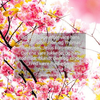Picture 05 - Johannes 20:26 DA1871 - Og otte Dage efter vare hans Disciple atter inde, - Bible Verse Picture