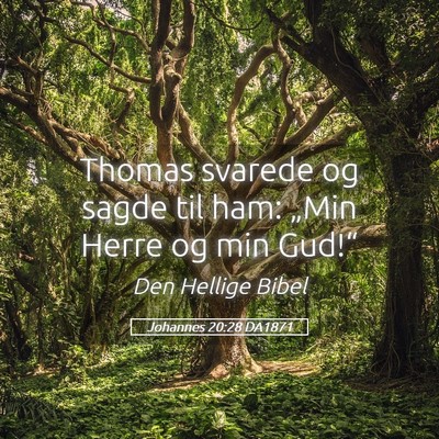 Picture 05 - Johannes 20:28 DA1871 - Thomas svarede og sagde til ham: „Min Herre og - Bible Verse Picture