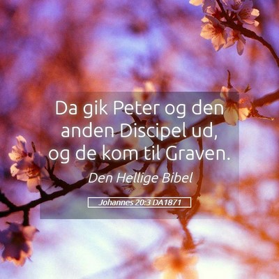 Picture 05 - Johannes 20:3 DA1871 - Da gik Peter og den anden Discipel ud, og de kom - Bible Verse Picture