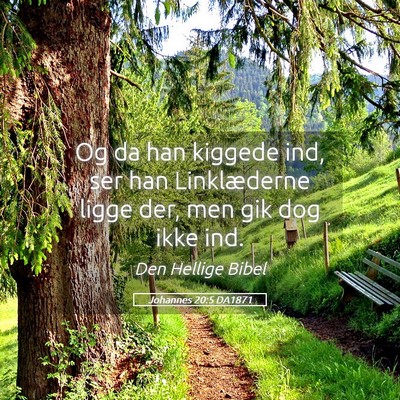 Picture 05 - Johannes 20:5 DA1871 - Og da han kiggede ind, ser han Linklæderne ligge - Bible Verse Picture