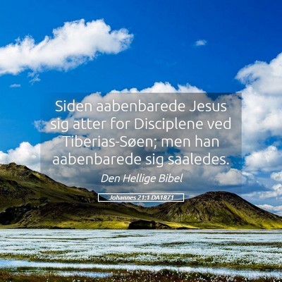 Picture 05 - Johannes 21:1 DA1871 - Siden aabenbarede Jesus sig atter for Disciplene - Bible Verse Picture