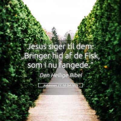 Picture 05 - Johannes 21:10 DA1871 - Jesus siger til dem: „Bringer hid af de Fisk, - Bible Verse Picture