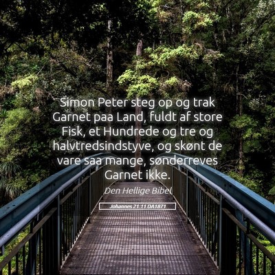 Picture 05 - Johannes 21:11 DA1871 - Simon Peter steg op og trak Garnet paa Land, - Bible Verse Picture