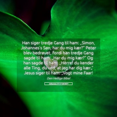 Picture 05 - Johannes 21:17 DA1871 - Han siger tredje Gang til ham: „Simon, - Bible Verse Picture