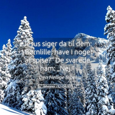 Picture 05 - Johannes 21:5 DA1871 - Jesus siger da til dem: „Børnlille! have I - Bible Verse Picture