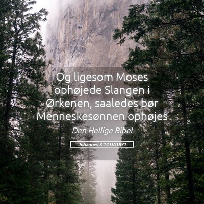Picture 05 - Johannes 3:14 DA1871 - Og ligesom Moses ophøjede Slangen i Ørkenen, - Bible Verse Picture